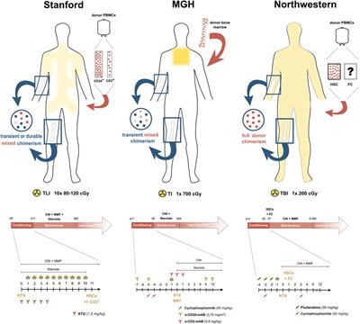 Transplantation Tolerance through Hematopoietic Chimerism: Progress and Challenges for Clinical Translation